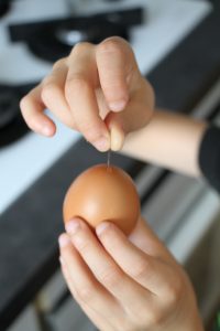 œuf pâques creation