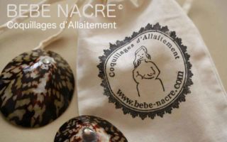 coquillage allaitement bebe nacre concours