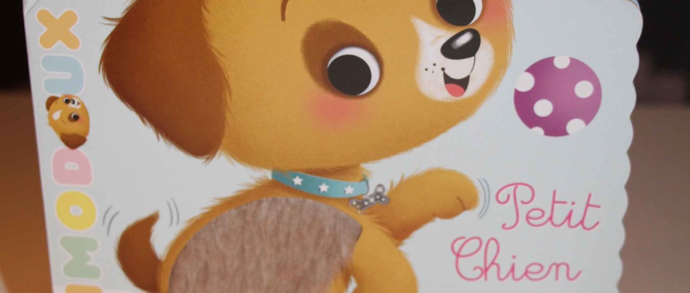 livre enfant Les animodoux Petit chien Fleurus