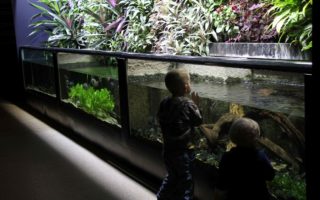 aquarium tropical porte dorée avis sortie famille ile de france