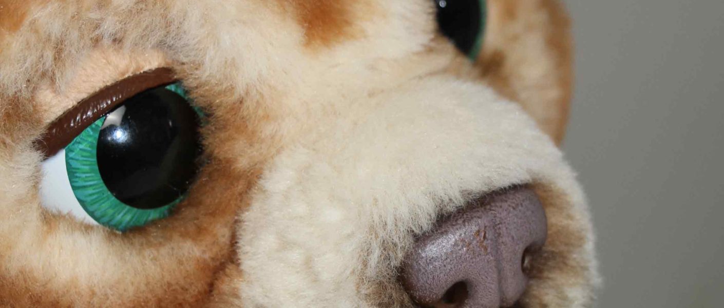 ours curieux cubby furreal hasbro