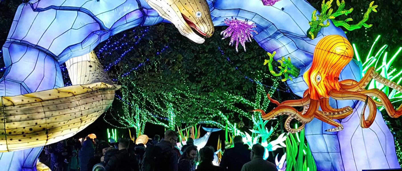 festival lumières sauvages thoiry