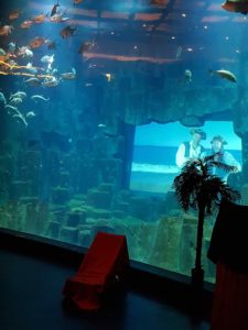 aquarium de paris 