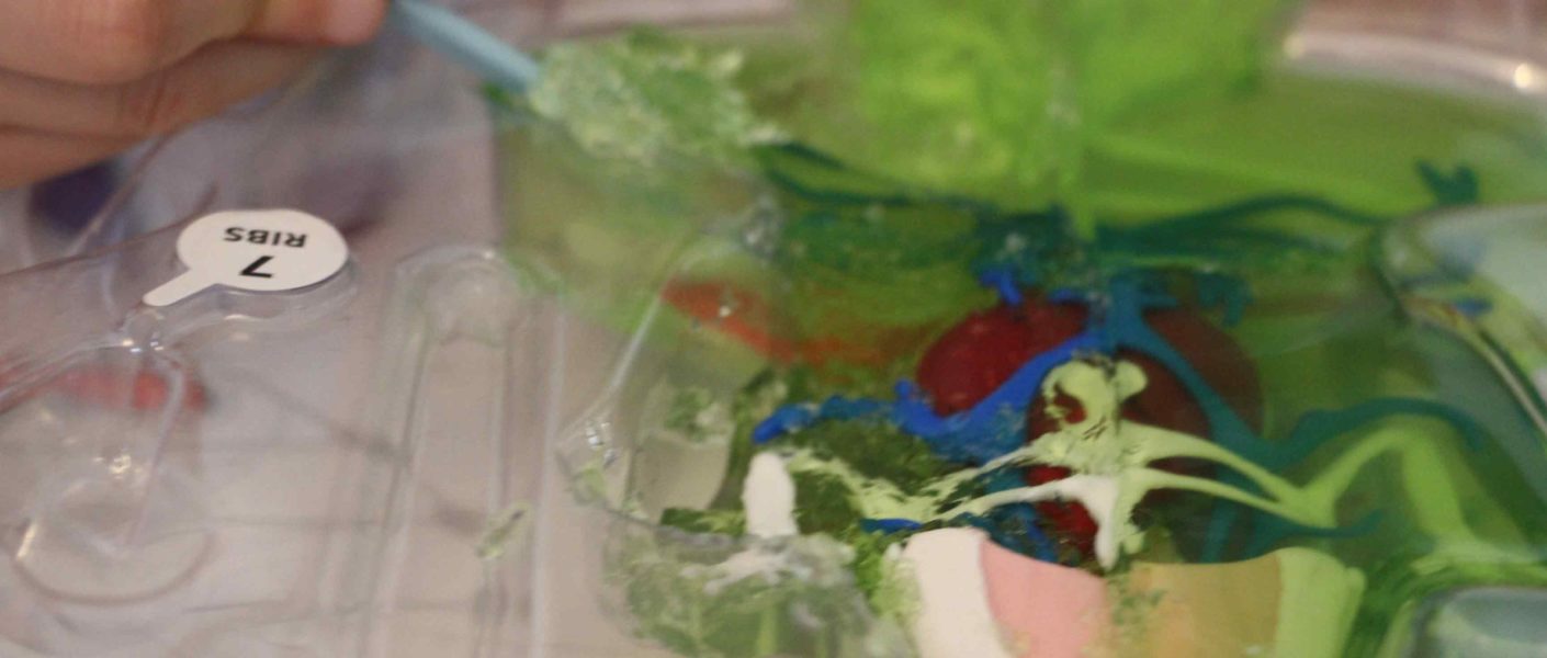 dissect it grenouille silverlit