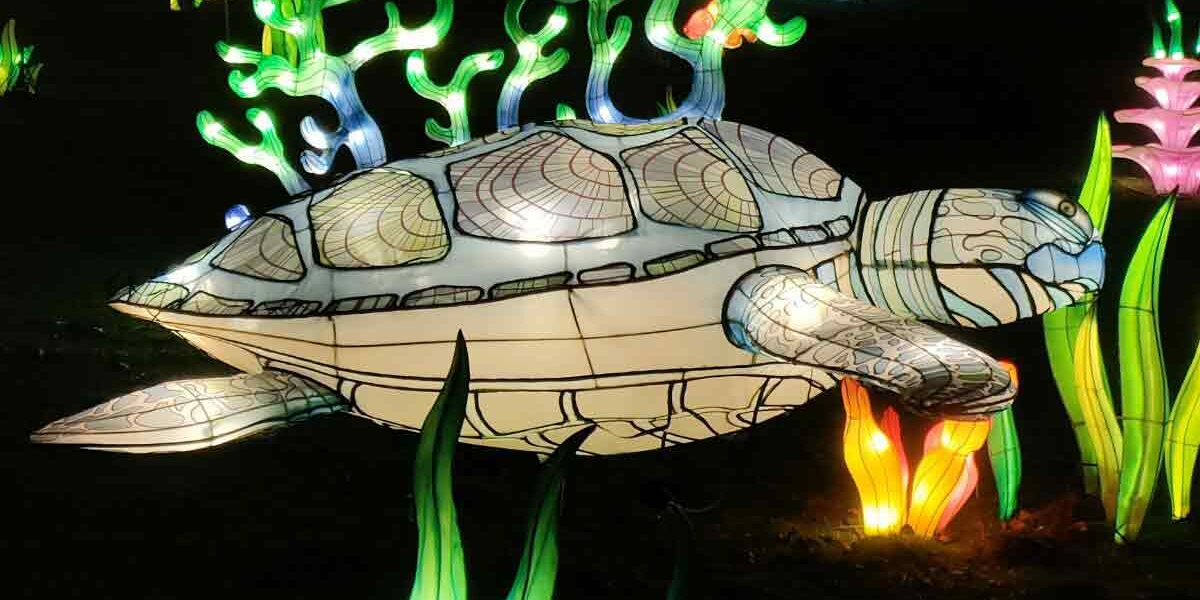 odyssée lumineuse parc floral sortie famille