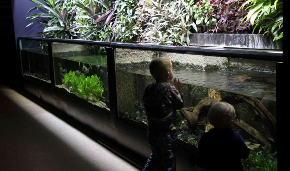 aquarium tropical porte dorée avis sortie famille ile de france